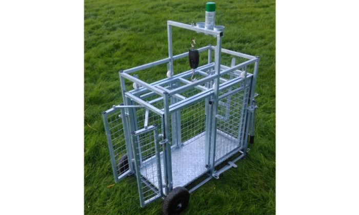 Lamb Weigh Crate